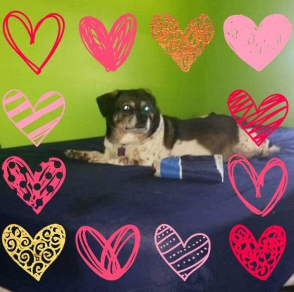 Poshmark profile picture for @terrors